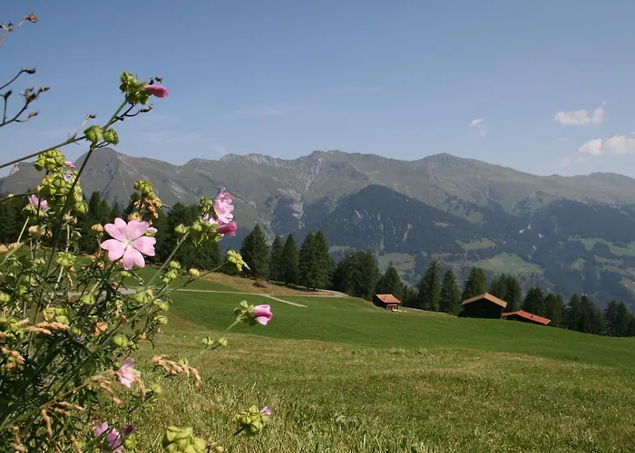 Frühstückspension Alpina Tschiertschen